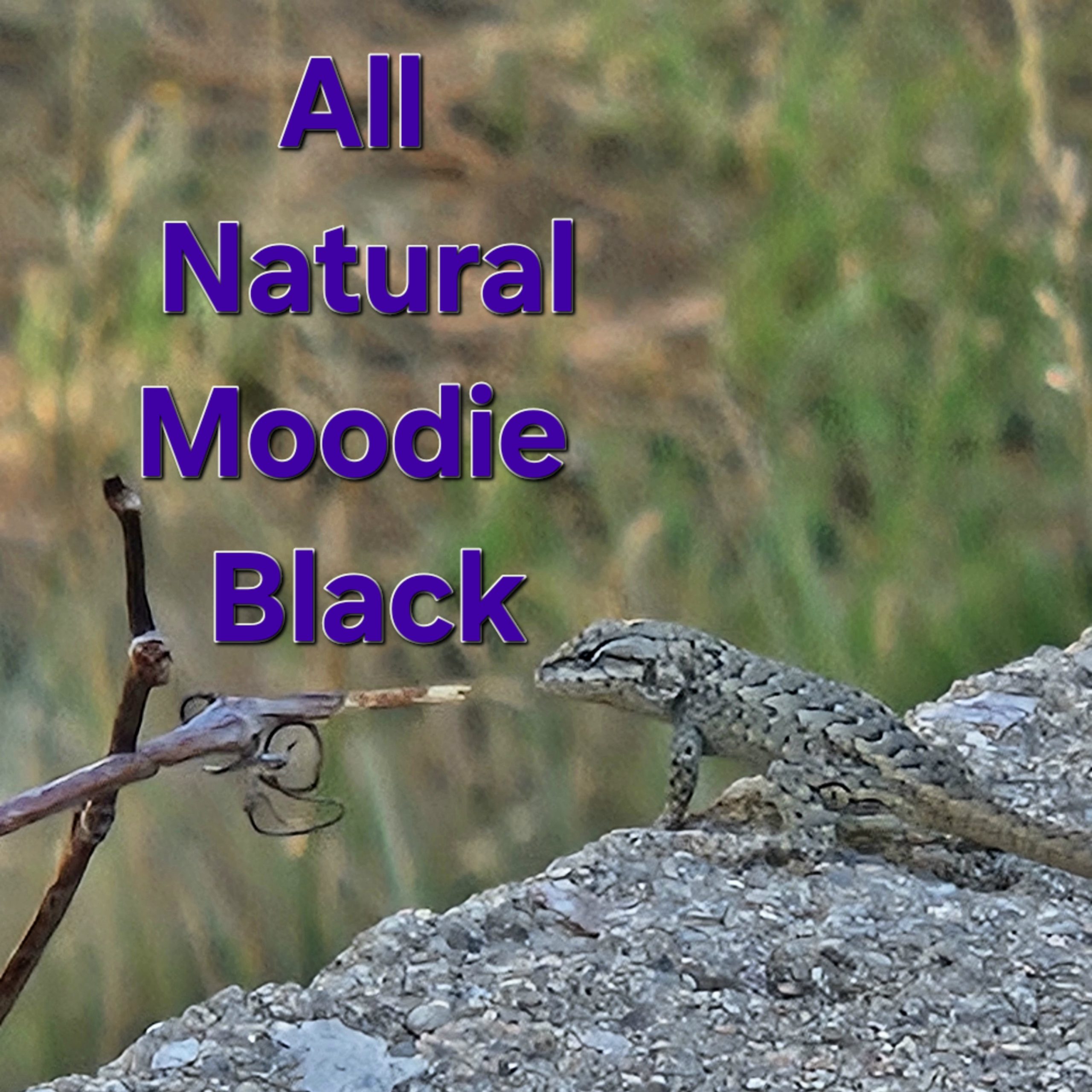Moodie Black – All Natural Moodie Black